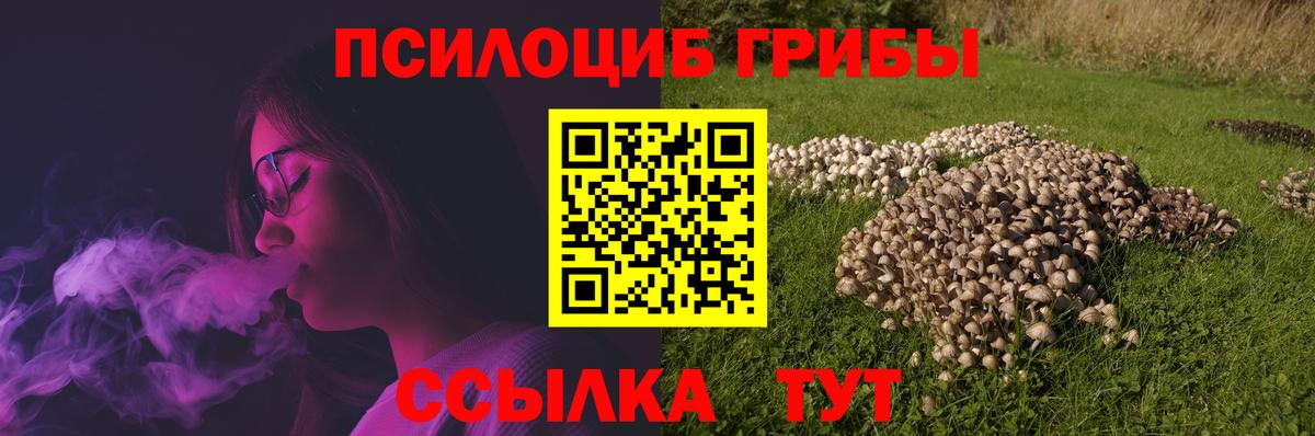 Псилоцибиновые грибы прущие грибы Вышний Волочёк
