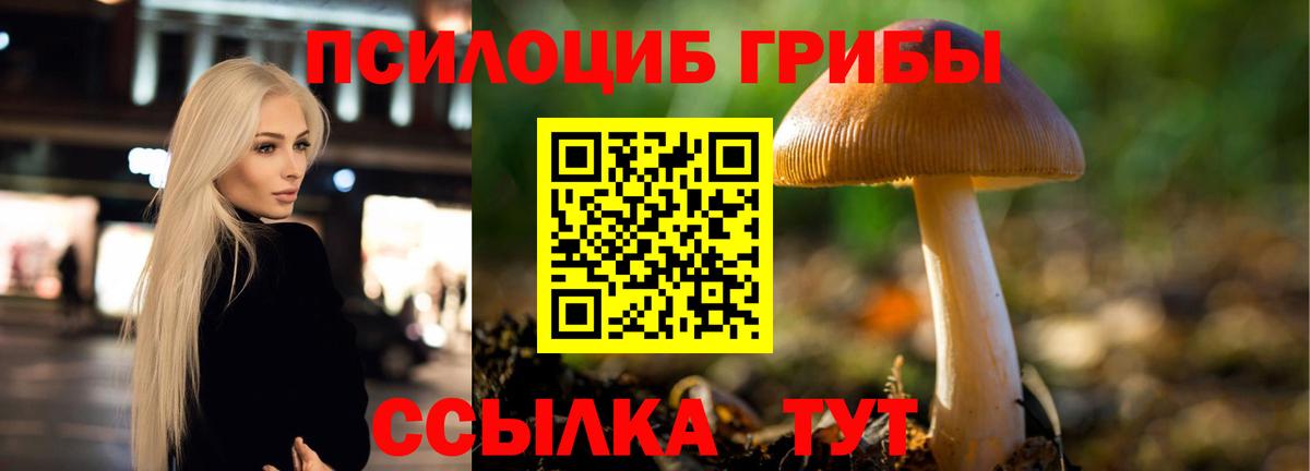 Галлюциногенные грибы мухоморы  Вход с VPN  купить   Вышний Волочёк 